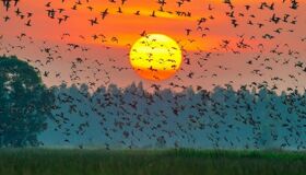 Begin your visa-prepared day with Vietnam’s tranquil ambiance